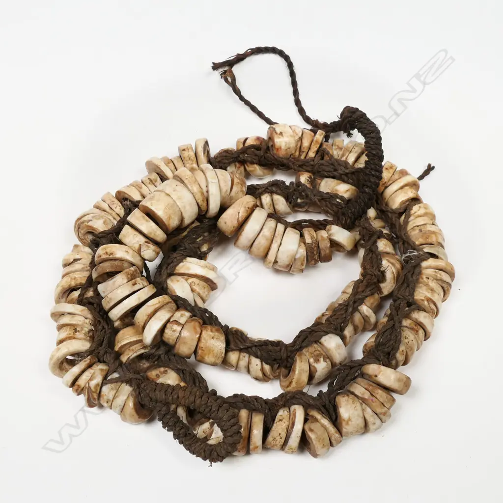 PNG conus shell necklace, Image 1++